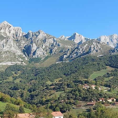 Apartamentos Rurales Los Picos De Redo Camaleño Exteriör bild
