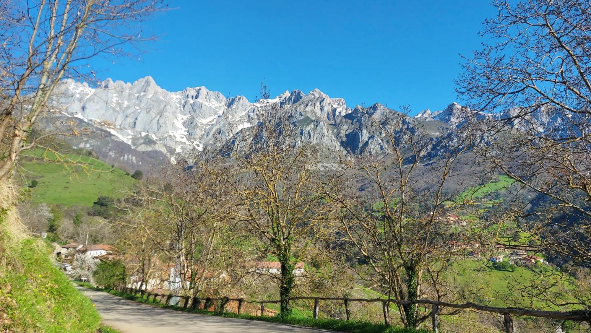 Apartamentos Rurales Los Picos De Redo Camaleño Exteriör bild